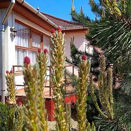 Frühstückspension Nádas Pihenőpark 4*